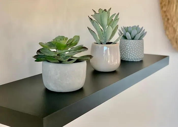 Marinesappartement, La Marina Tropezienne